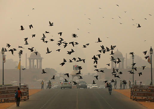 Ấn Độ: Tạm dừng tất cả dự án xây dựng do chất lượng không khí của thủ đô ngày trở nên tồi tệ