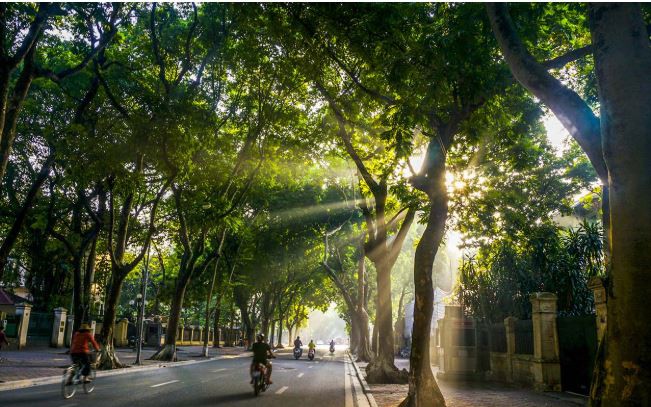 Điều chỉnh, bổ sung Danh mục đường, hè, cây xanh, chiếu sáng, thoát nước do Thành phố quản lý