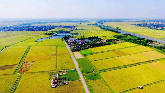Hà Nội phân cấp cho cấp xã cấp phép xây dựng trên đất nông nghiệp từ 18/5