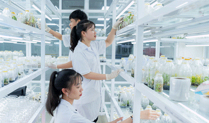 Hệ thống các chương trình KHCN, ĐMST được tổ chức thành 6 nhóm