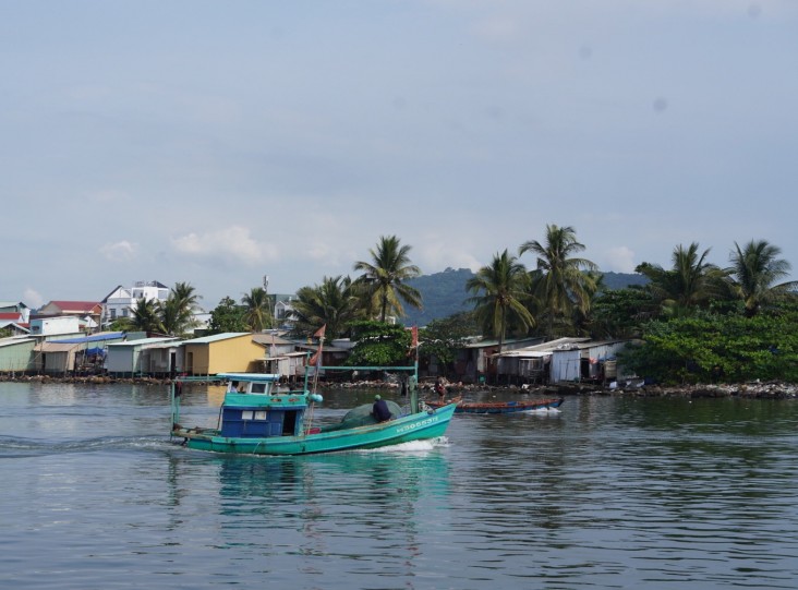 USAID-financed project launched to protect Mekong Delta's key coastal habitats
