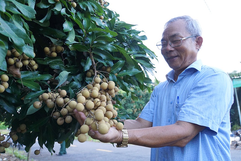 Công nhận huyện Châu Thành (Đồng Tháp) đạt chuẩn nông thôn mới