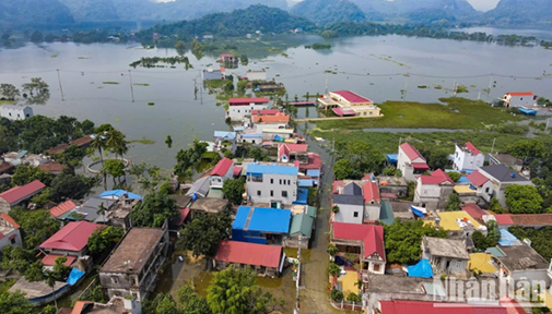 Miễn, giảm, gia hạn nộp thuế cho người nộp thuế bị thiệt hại bởi thiên tai